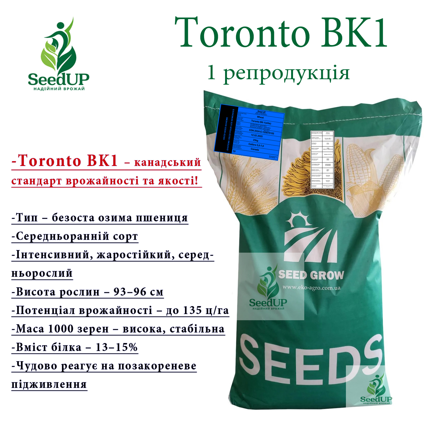 Toronto BK1(1рп)
